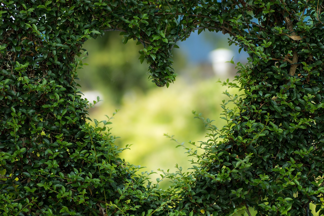 últimas tendencias en jardines