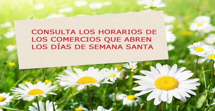 '.$titulo_noticia.'